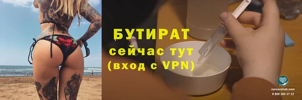 прущие грибы Дмитров