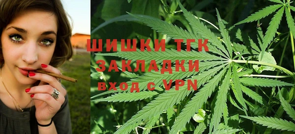 амф Дмитровск