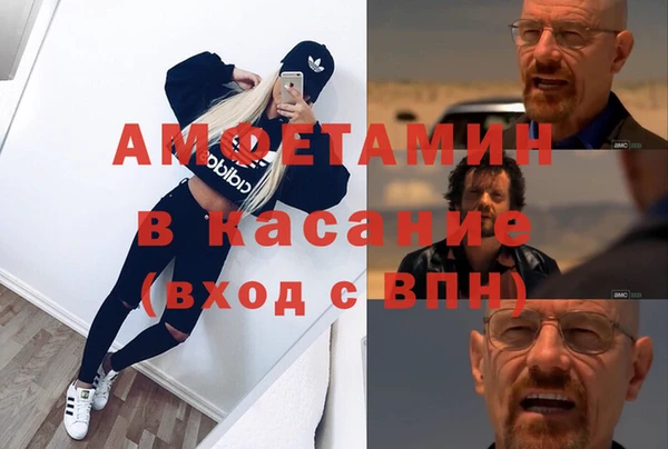 прущие грибы Дмитров