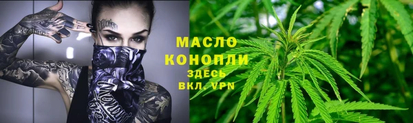 прущие грибы Дмитров