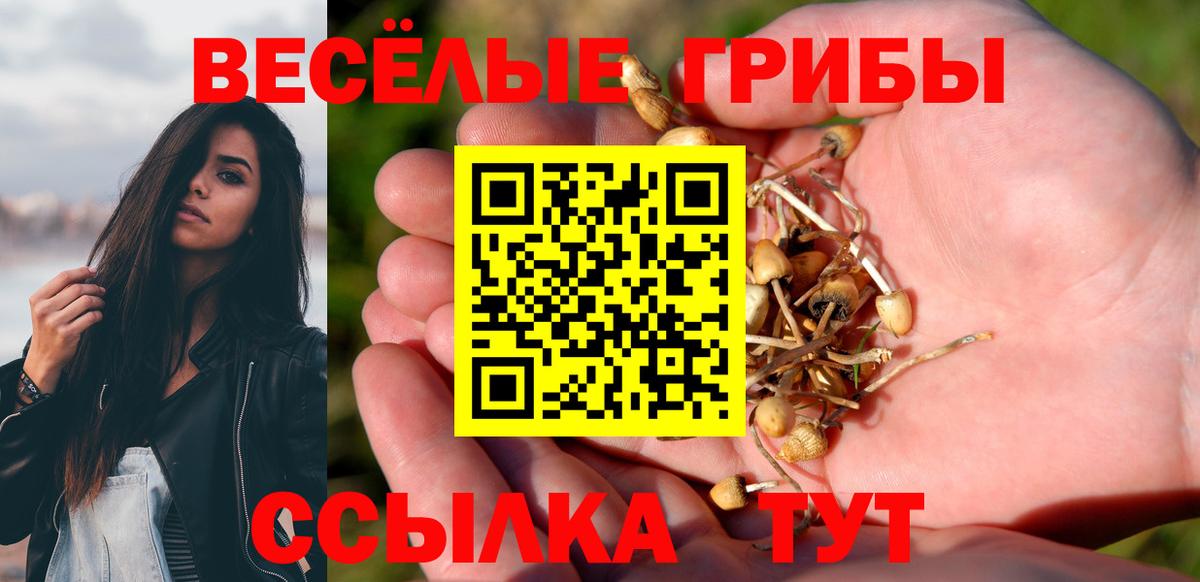 Псилоцибиновые грибы Psilocybe  Вход с VPN  Искитим 